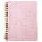 PADVTHG32 | FABULOUS AUCTION PALLET - POP!S - CAKEWORTHY - CLOTHING, HOMEWARE, VINYL FIGS | 439 CRACKERS!