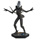 PADV334 Homeware, Collectibles and Toys Mega Pallet - 977 awesome items
